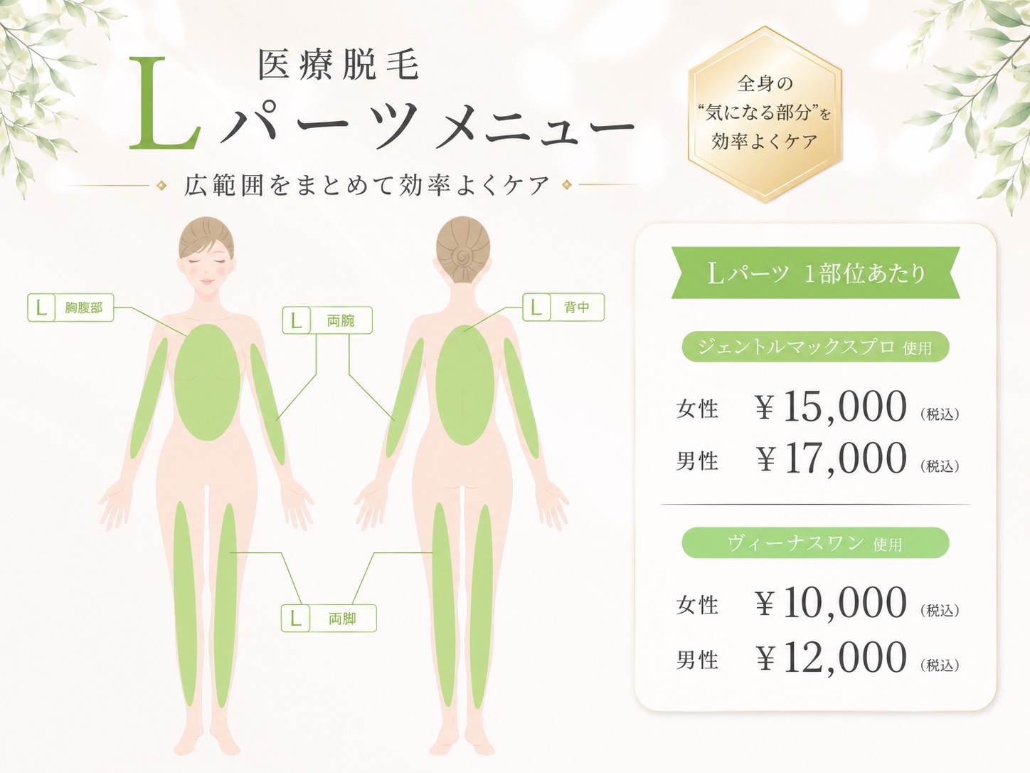 医療脱毛Lパーツメニュー対象部位（胸腹部・両腕・背中・両脚）の図解