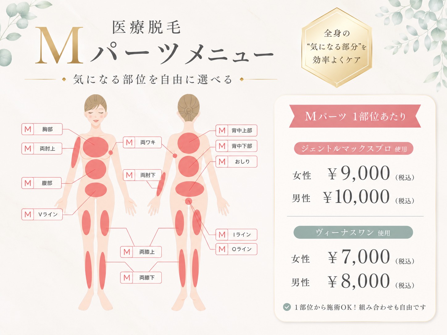 医療脱毛Mパーツメニュー対象部位（胸部・両肘上・腹部・Vライン・両肘下・両ワキ・背中上部・背中下部・おしり・Iライン・Oライン・両膝上・両膝下）の図解