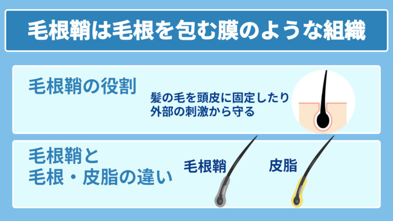 毛根鞘を抜くコツは?食べる原因や抜くとどうなるかも解説 | おおかみ美容のクリニック
